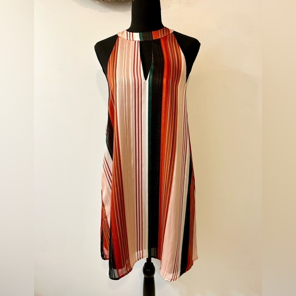 NWT Chloe Oliver Canyon Swing Dress in Canyon Stripe Size XS